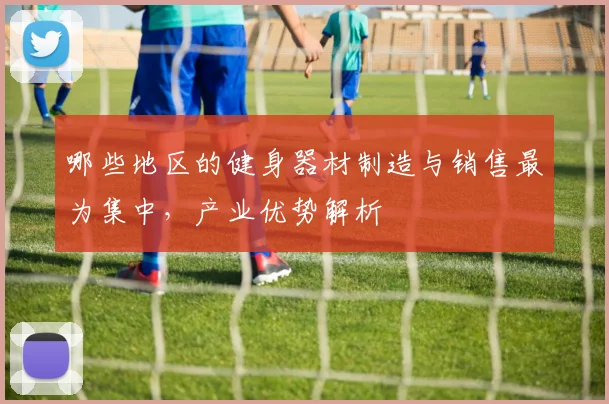 哪些地区的健身器材制造与销售最为集中,产业优势解析