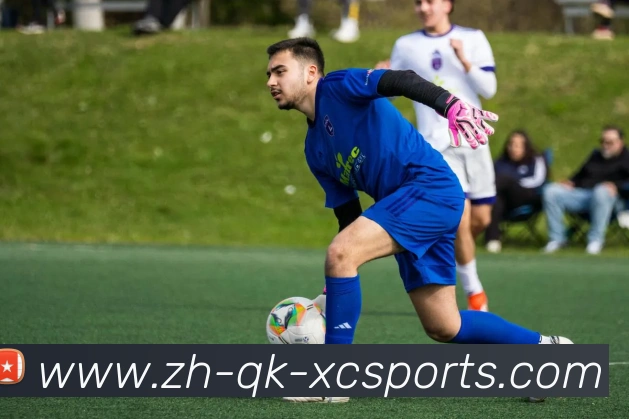 杏彩体育平台生态图