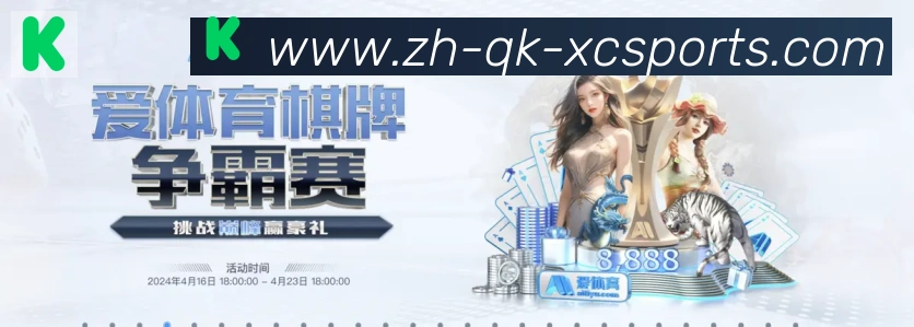 互动解说服务